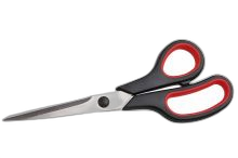 Schaar