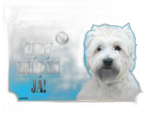 Accessoires