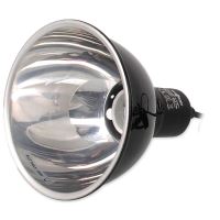 Verlichting